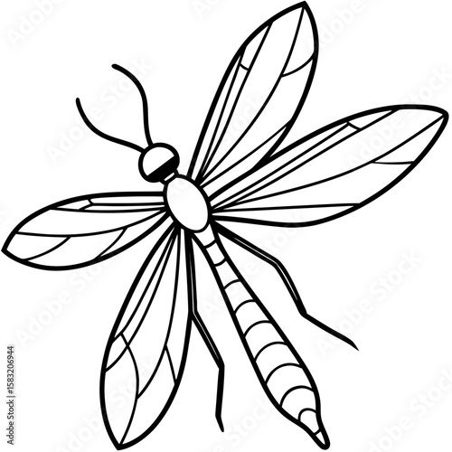 Detailed line art illustration of a mayfly with delicate tail filaments isolated on white background