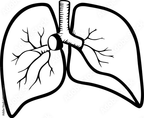 Early cancer diagnosis in lung health illustration showing respiratory system anatomy for medical education