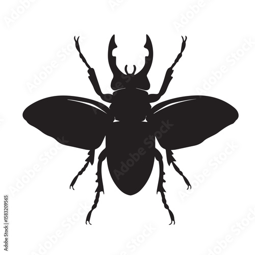 Beetle silhouette black and white vector icon
