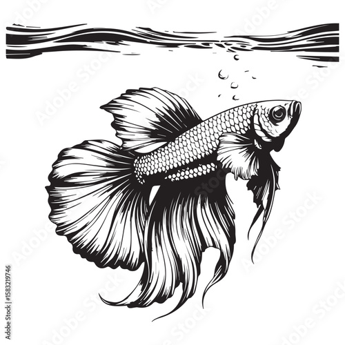 Elegant black and white illustration of a siamese fighting fish with flowing fins and bubbles under water