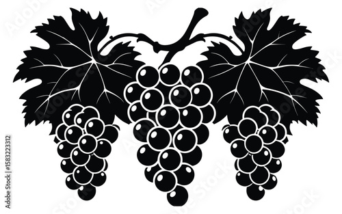Black grapes vine leaves fruit
