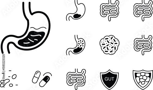 Black and white digestive system icons stomach intestines pills and gut shield