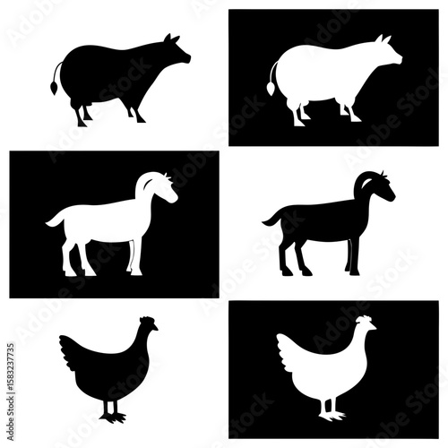 Farm animals black white contrasting sheep goat