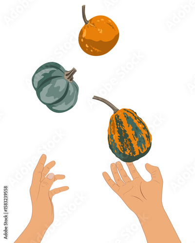 Hands juggling small cute gourds. Thanksgiving or Halloween concept. Vector isolated illustration.