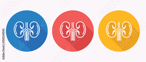 Three kidney icons in circular buttons blue red yellow