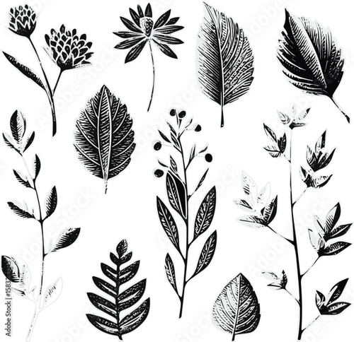 Create a kinds of deferent Vintage botanical herbs sketch vector art silhouette with white background .