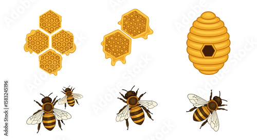 Illustration of honeycombs with dripping honey, a bee hive, and three bees on a white background