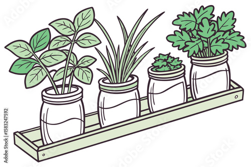 Four glass jars containing different herbs arranged on a light green tray illustration style art