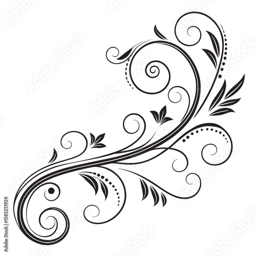 Flourish ornate header. Decorative calligraphic vintage divider