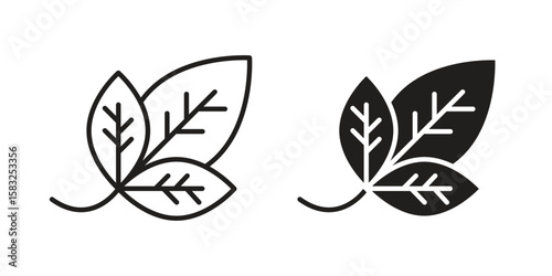 Basil icon in flat and liner trendy style for app ui designs