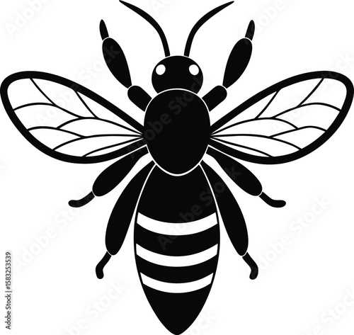 vector illustration of a bee