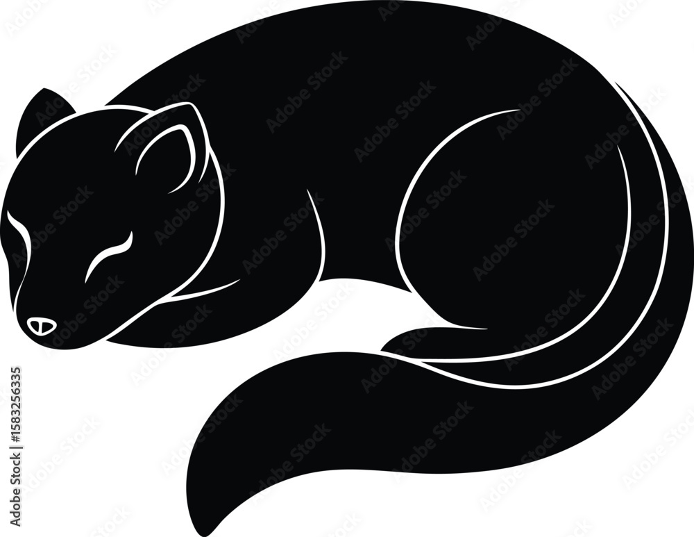 Fototapeta premium cat on a white background