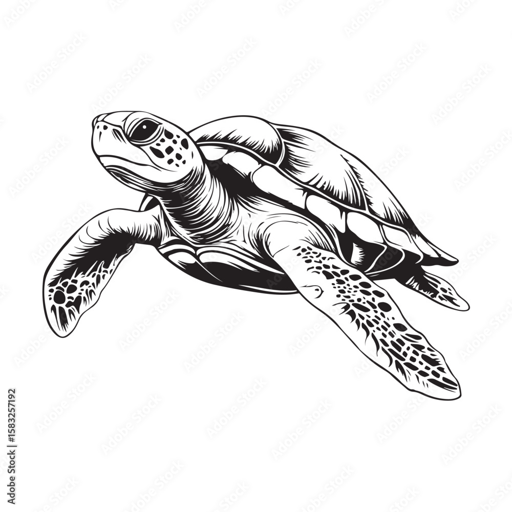 Fototapeta premium sketch vector of a turtle, featuring detailed lines and natural curves that highlight the beauty of this marine reptile
