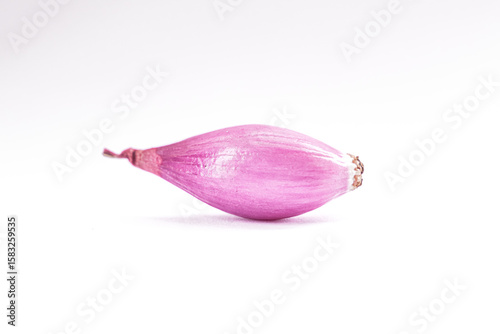 A single, whole shallot bulb rests against a plain white background.