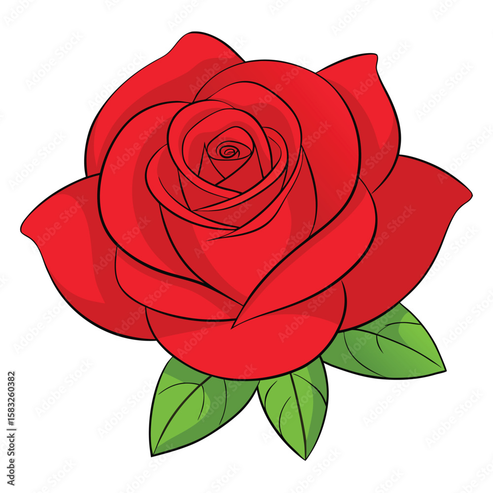 Close up vibrant red rose with soft bokeh background shading perfect for romantic floral advertisements and elegant event invitations