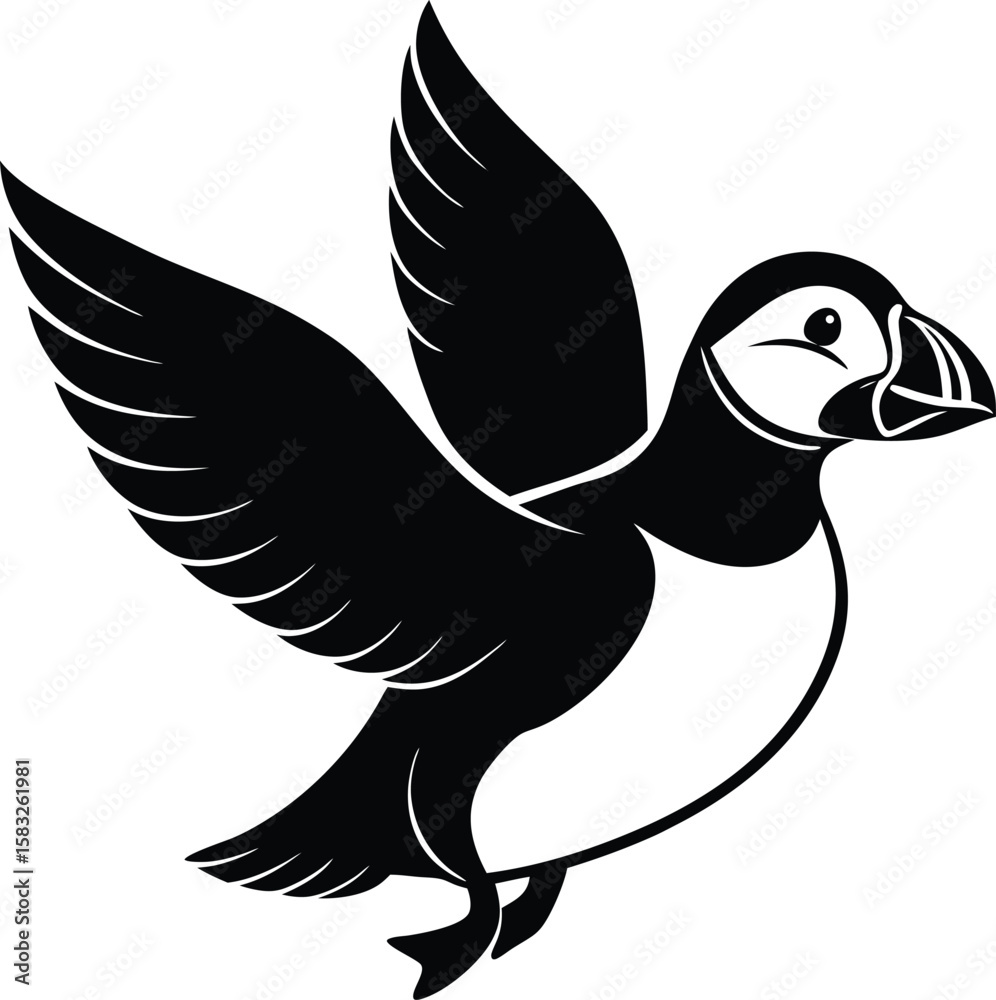 Obraz premium duck isolated on white background