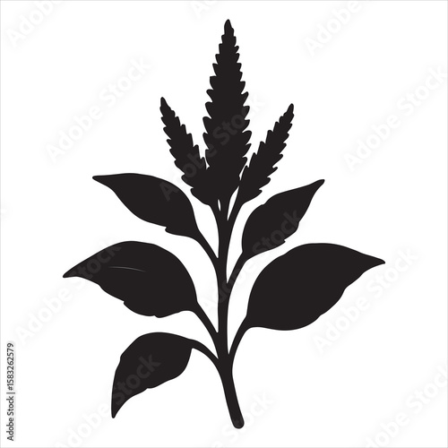 green leaf isolated on white