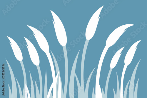 hoarfrost coating tall dry grasses