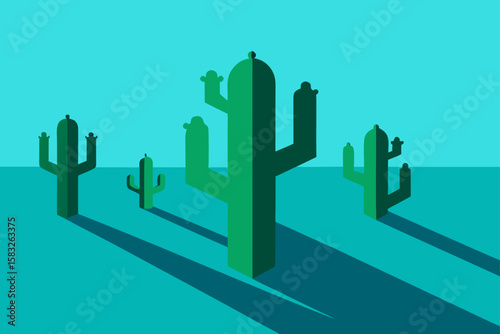prickly cacti casting long shadows in morning