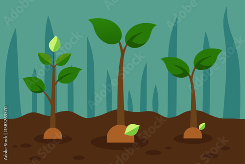 seeds sprouting from the forest floor
