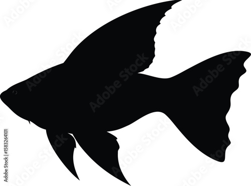 Black silhouette of a fish with large dorsal fin white background 1