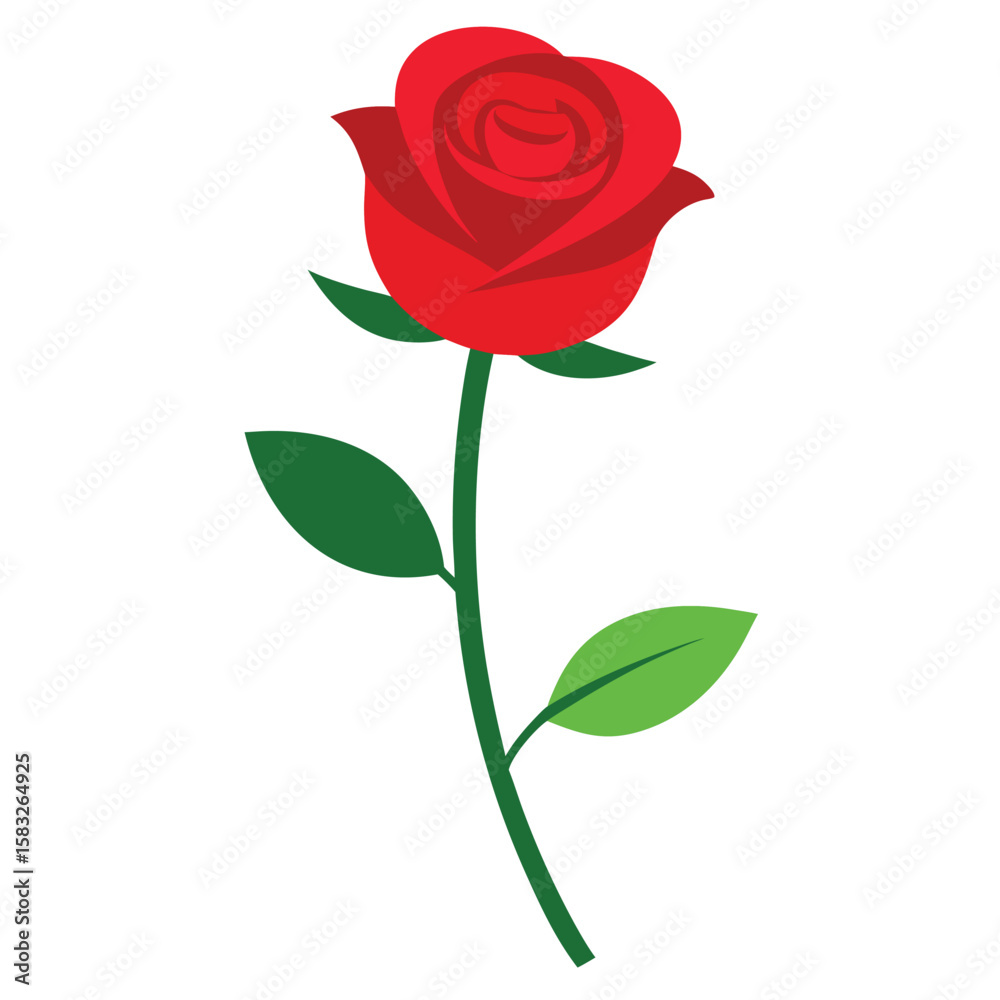 Fototapeta premium Realistic botanical illustration of a single red rose with a detailed stem and leaves perfect for floral design projects and decorative elements