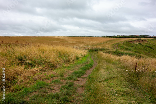 Clifftop,  Whitby, North Yorkshire, UK , Coast, Sea 