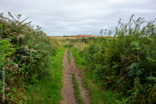 Clifftop,  Whitby, North Yorkshire, UK , Coast, Sea 