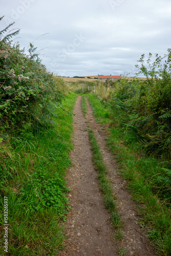 Clifftop,  Whitby, North Yorkshire, UK , Coast, Sea, Summer 