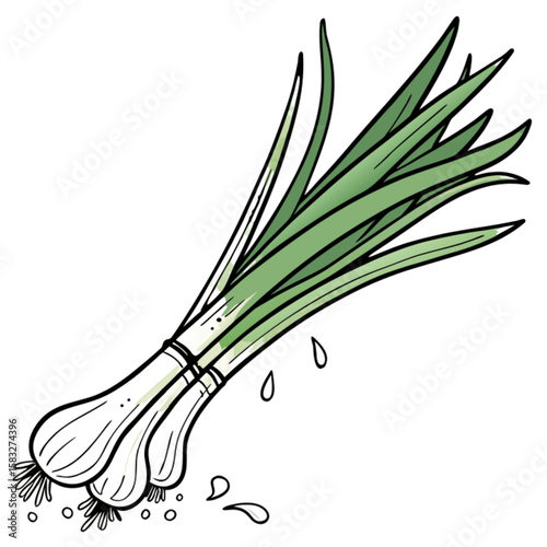onion isolated on white background