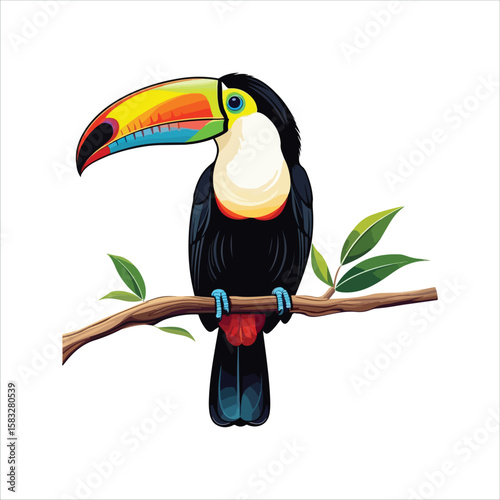 Colorful Toucan Vector Illustration – Tropical Bird Clipart on White Background