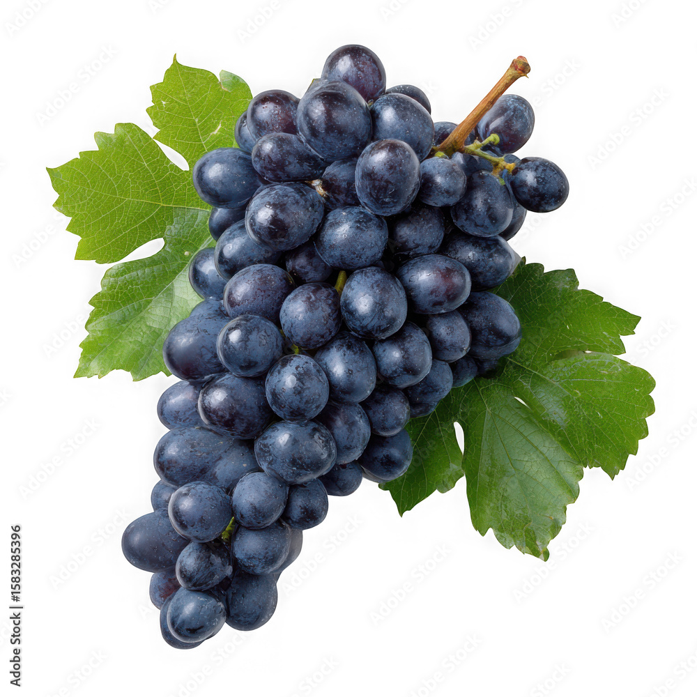 Fototapeta premium Dark grapes isolated on transparent background