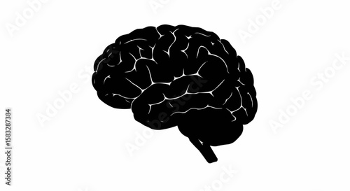 Black silhouette of a human brain with visible convolutions on a plain white background in side view