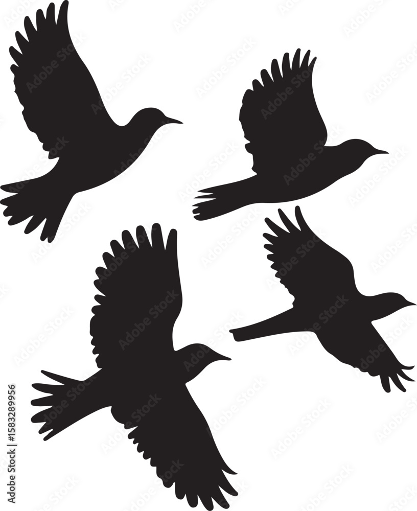 Obraz premium Four birds flying in formation against a white background silhouette