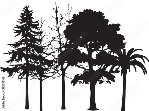 Diverse trees silhouette forest landscape black white