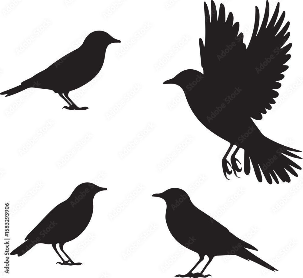 Four black bird silhouettes one flying and three perched on white background Four black bird silhouettes one flying and three perched on white background