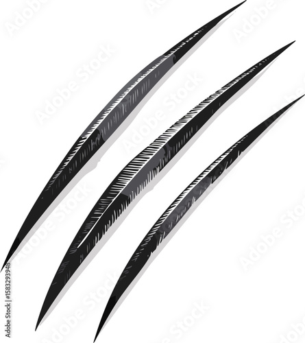 Close-up of animal claw scratches