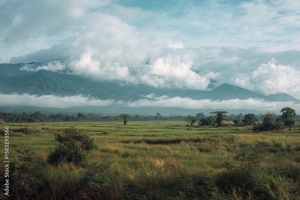 Lush valley with mountains, cloudy sky Lush valley with mountains, cloudy sky