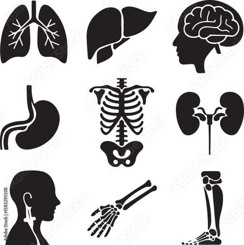 Collection of black human anatomy organ and skeleton silhouettes