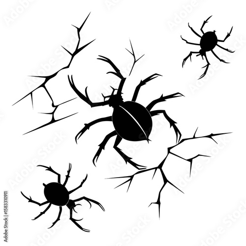 Black spiders crawling on cracked surface insects arachnids