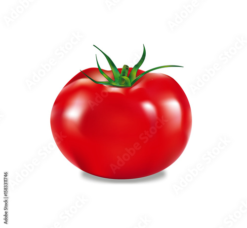  Fresh Ripe of Red Tomato