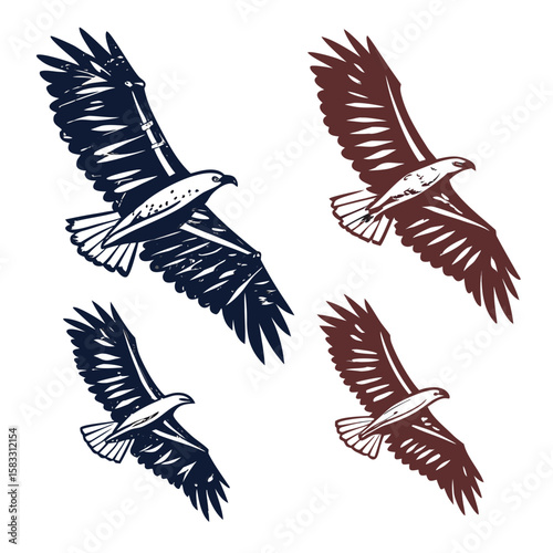 Dark blue and brown eagles in flight falcon bird