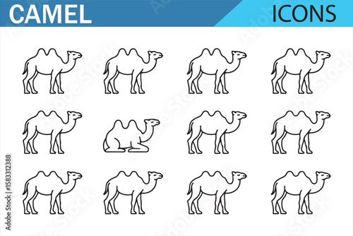 Various Camel Icons for Travel, Journey, and Nature Projects


