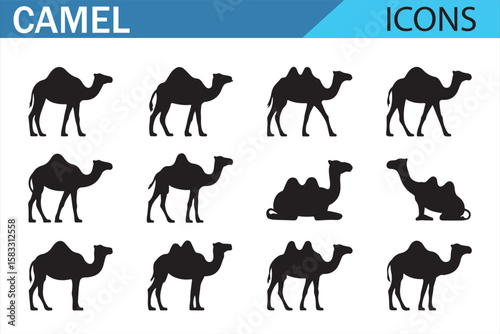 Camel Icons Collection – Featuring Desert and Wildlife Themes