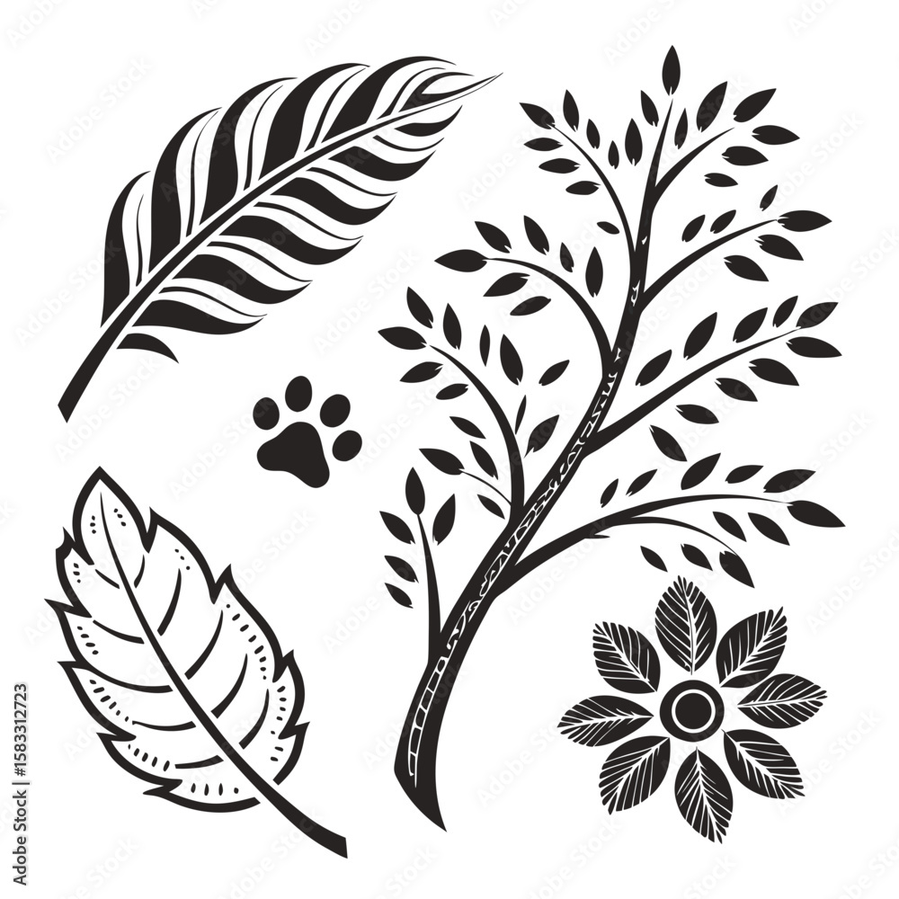 Obraz premium Black nature elements leaf tree paw print flower feather