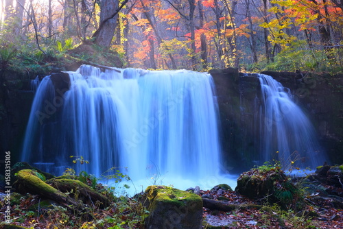  紅葉彩る銚子大滝 - 秋が織りなす水と色の協奏曲