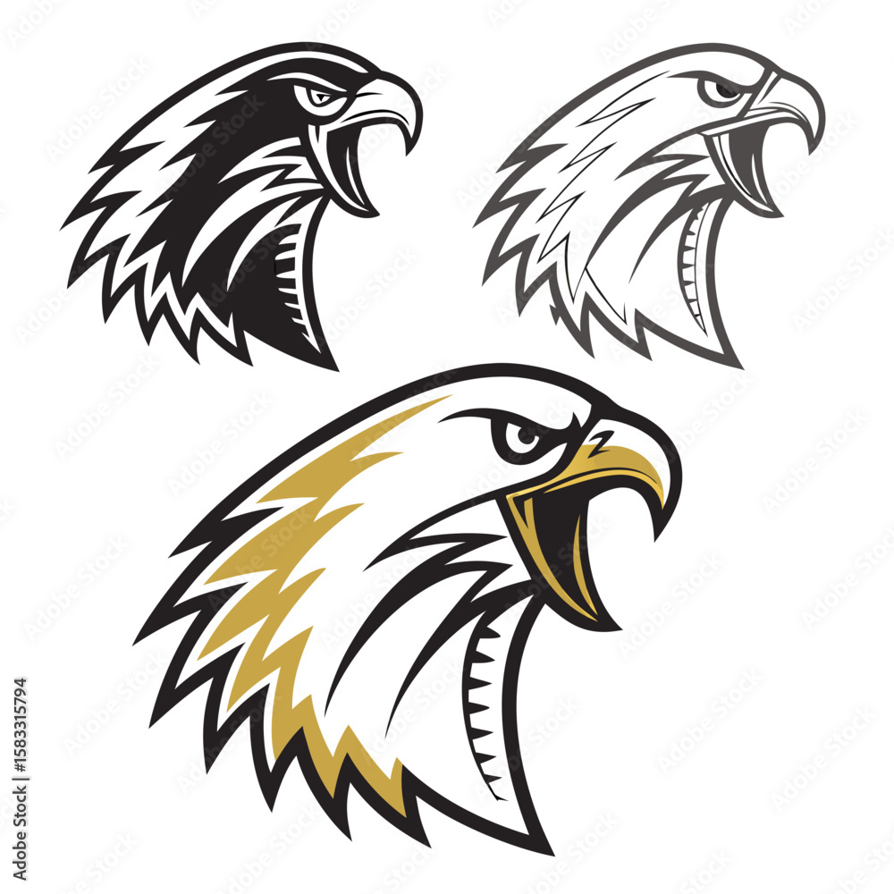 Obraz premium Fierce eagle heads black white gold hawk bird