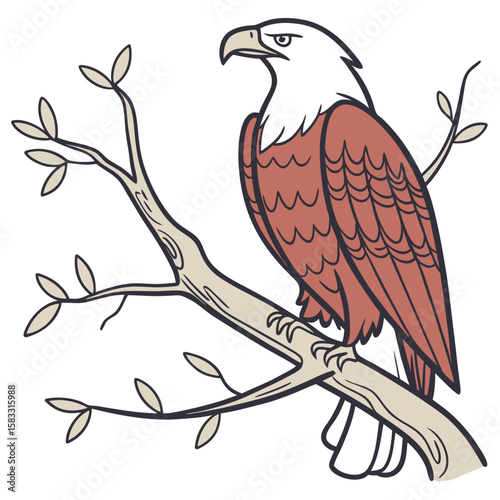 Eagle perched on a branch bird tree