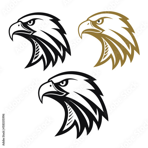 Eagle heads black gold hawk bird