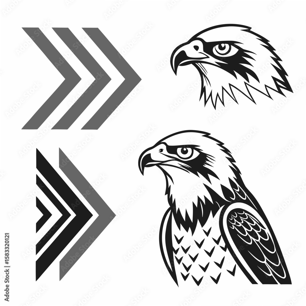 Obraz premium Majestic eagle heads and directional arrows hawk bird
